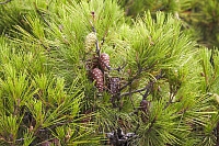 2010-07-04 17-50-21