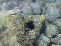2010-07-04 19-22-12