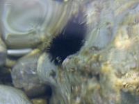 2010-07-04 19-23-15