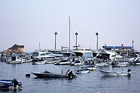 2010-07-04 21-19-35