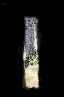 2010-07-05 15-35-38