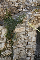 2010-07-05 16-43-22