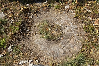 2010-07-05 17-39-52