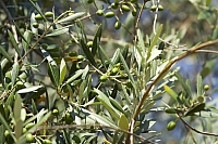2010-07-05 18-59-27