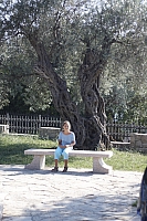 2010-07-05 19-00-22 1