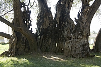 2010-07-05 19-01-04
