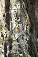 2010-07-05 19-04-29