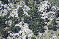 2010-07-06 12-18-40
