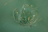 2010-07-06 16-04-59