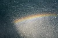 2010-07-06 14-31-58