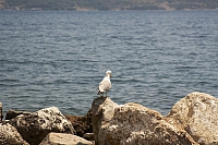 2010-07-06 15-48-35