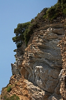 2010-07-09 13-35-59