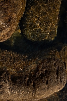 2010-07-09 19-05-35