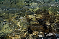 2010-07-09 19-07-54