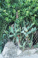 2010-07-09 21-23-29
