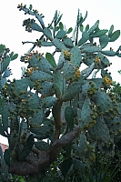 2010-07-09 21-26-02