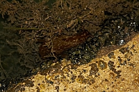 2010-07-09 23-44-47