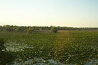 2010-07-10 08-03-21