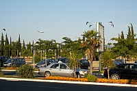 2010-07-10 08-54-26