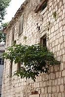 2010-07-08 16-48-01