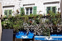 2010-07-08 16-59-15