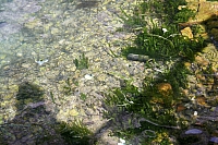 2010-07-08 18-52-39