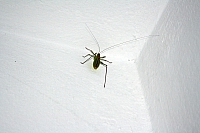 2010-07-03 00-57-07