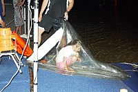 2010-07-04 00-05-42