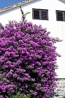 2010-06-29 11-57-20
