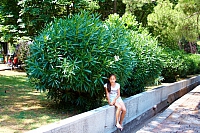 2010-06-29 15-58-33