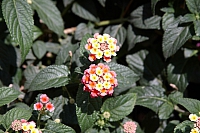 2010-06-29 16-19-37