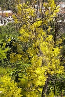 2010-06-30 12-18-29