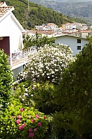 2010-06-30 12-19-46