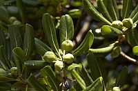 2010-06-30 12-21-28