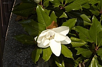 2010-06-30 12-23-30