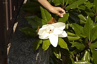 2010-06-30 12-24-17