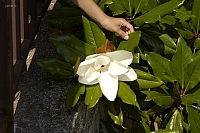 2010-06-30 12-24-19