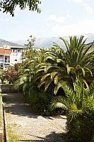 2010-06-30 12-29-35
