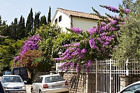 2010-06-30 12-39-00