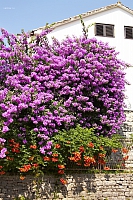 2010-06-30 12-39-39