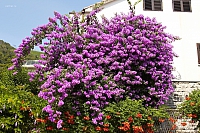 2010-06-30 12-39-47