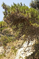 2010-06-30 13-00-55