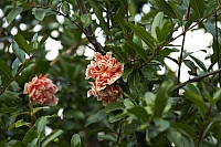 2010-06-30 21-43-28